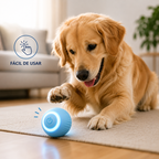 Petball- Pelota Inteligente para Mascotas