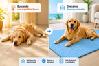 Alfombra refrescante para mascotas